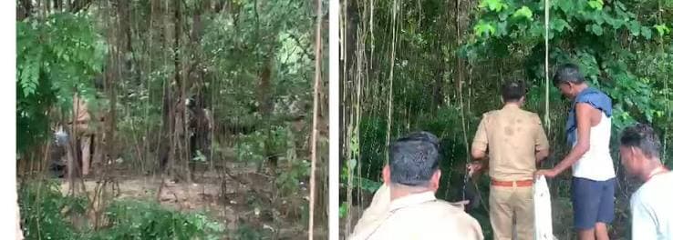 लखनऊ के इंजीनियरिंग कॉलेज कैंपस में पेड़ से लटकती मिली युवती की लाश, हत्या या फिर आत्महत्या?
